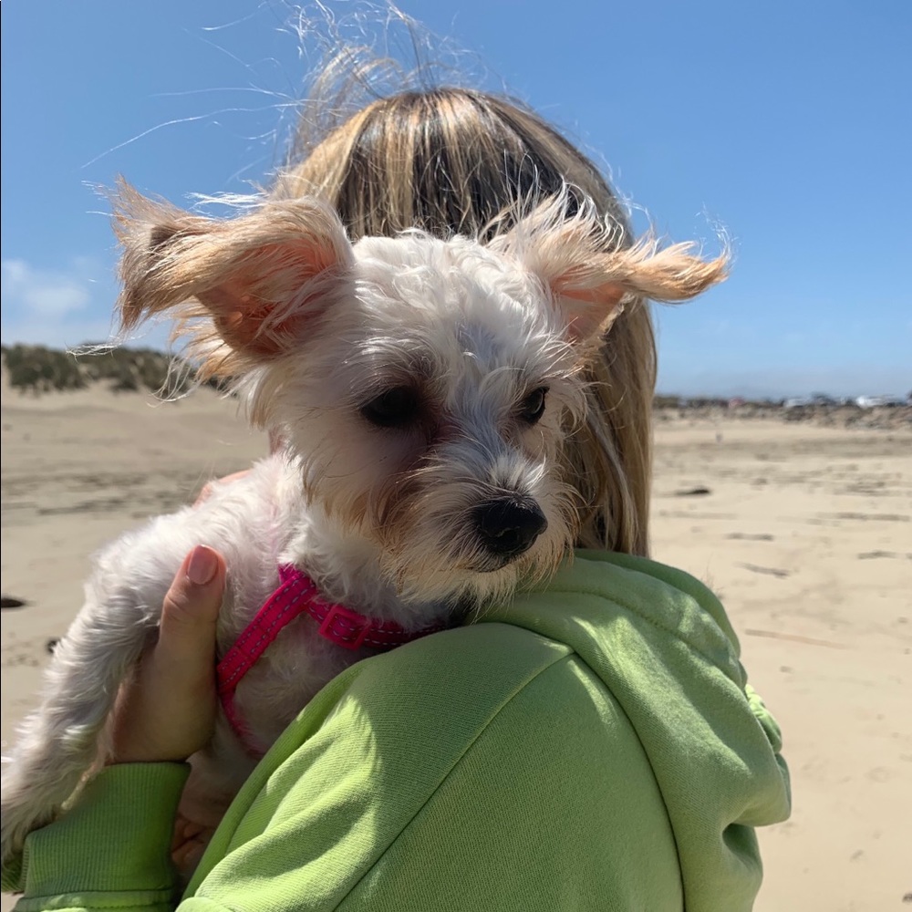 Meet your Posher, Brynn